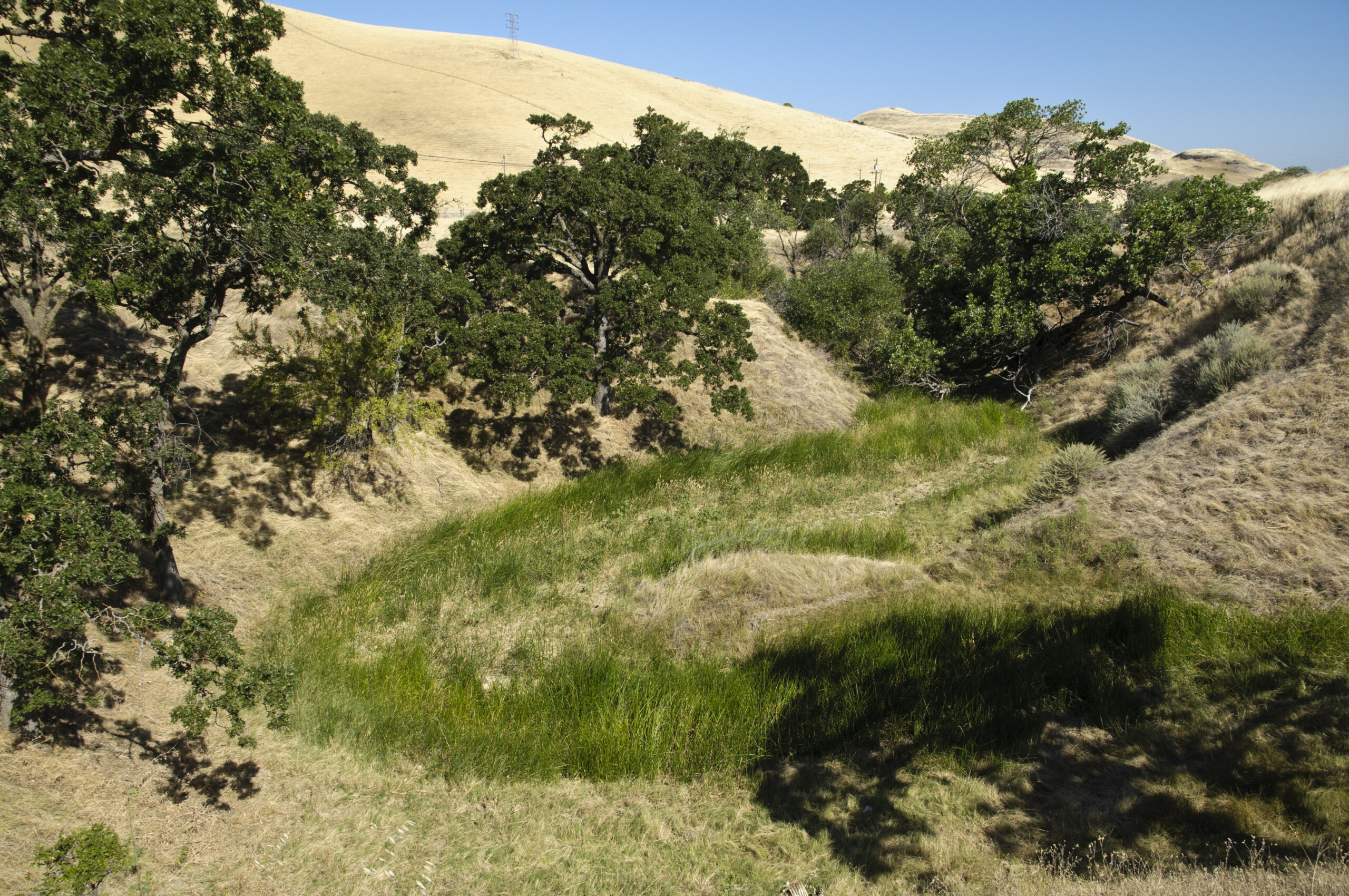 Kirker Creek in the Thomas Home Ranch property