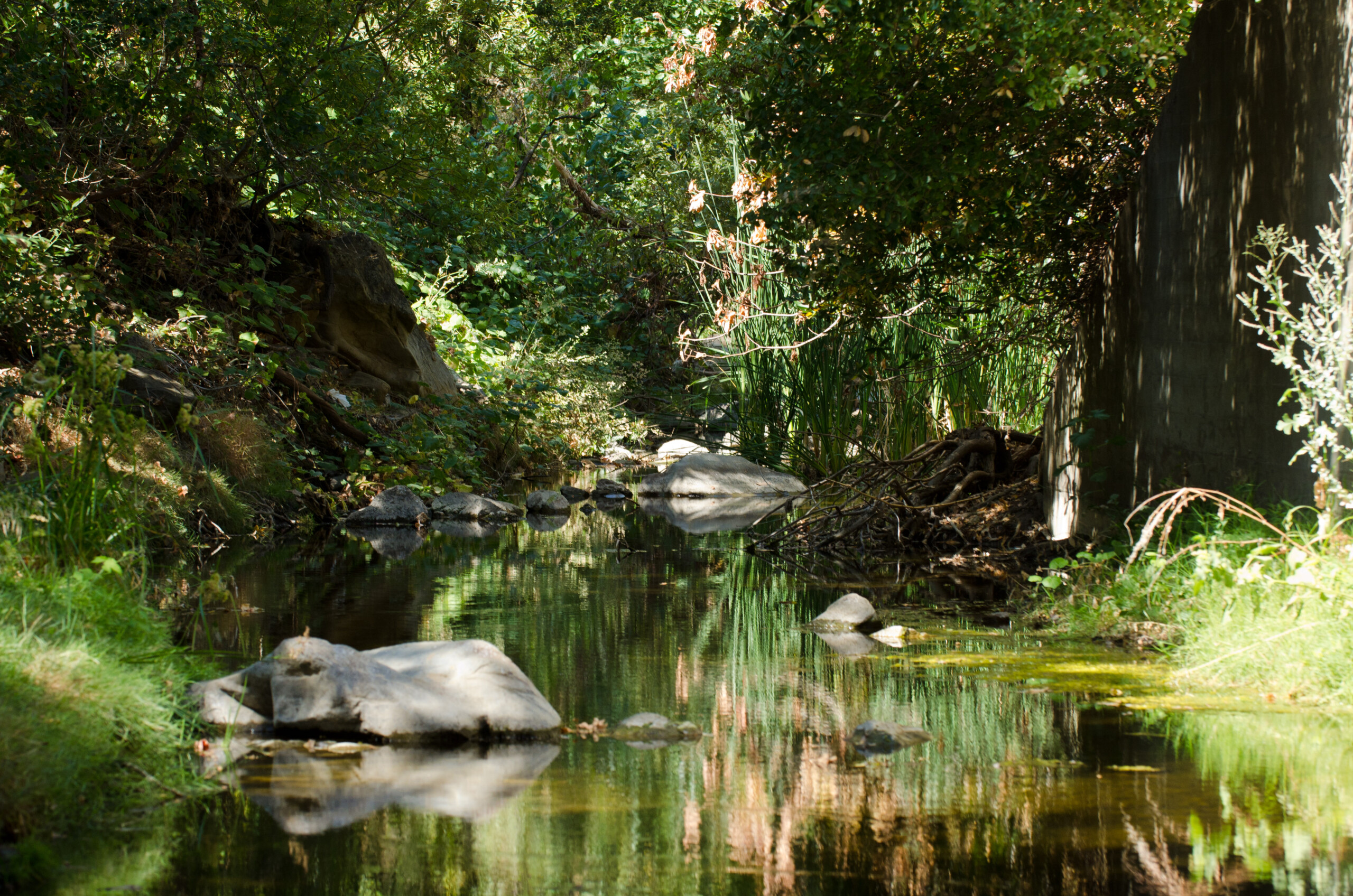 Save Mount Diablo's Marsh Creek 5 property