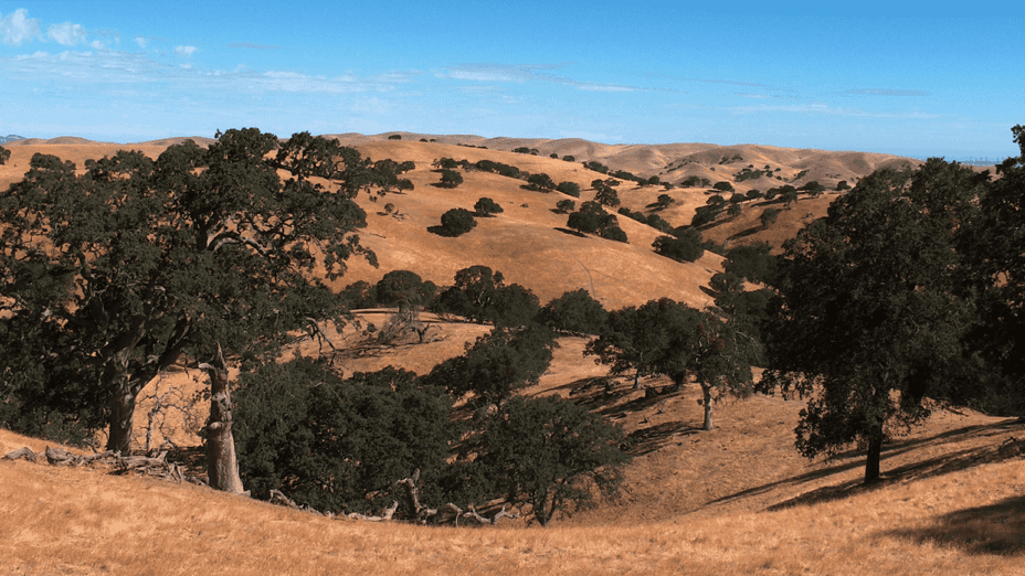 rolling hills of oaks and grasslands at Tesla Park|desert olive stand at Tesla Park|off-road vehicle damage at Carnegie State Vehicular Recreation Area|aerial view of unmarked land at Tesla next to scarred land at Carnegie SVRA|side by side comparison of Tesla Park and Carnegie SVRA|Tesla Park map