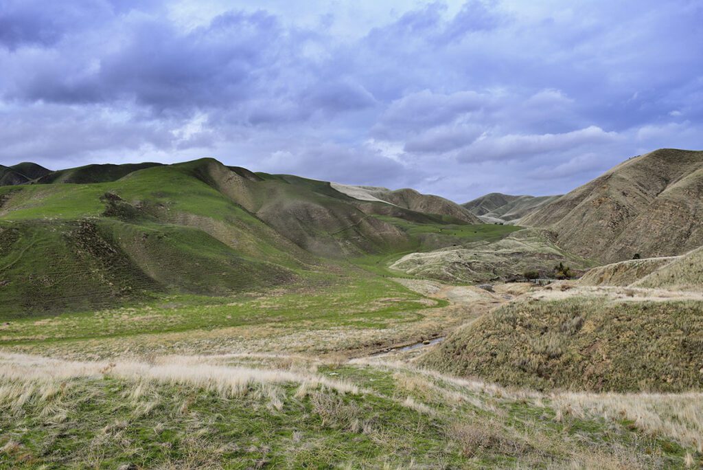 Del Puerto Canyon - Save Mount Diablo