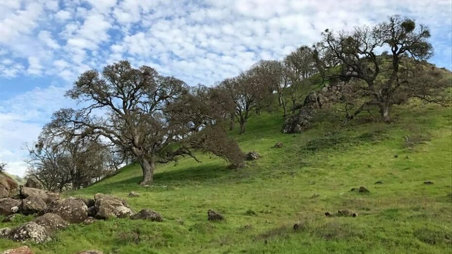 Home Save Mount Diablo - 0ae802ce6bdc51479b38947ef286f7ac FgaZpU.tmp 928x522 