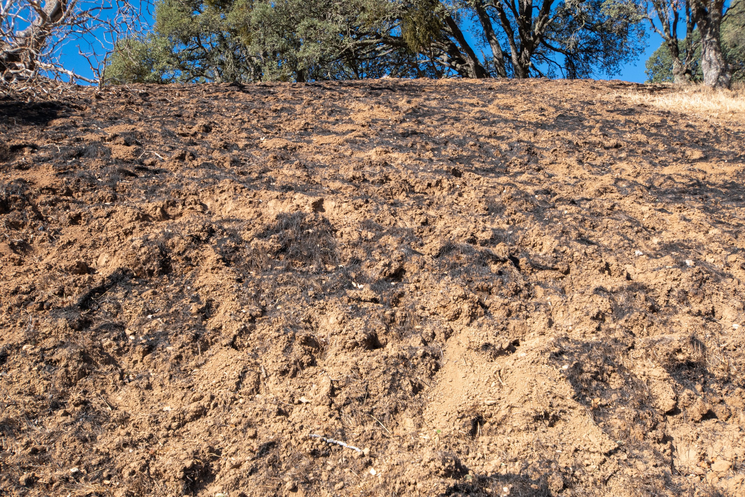 dirt ready to slide