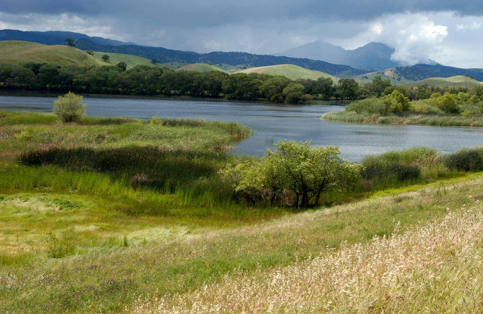 Marsh Creek Watershed in Marsh Creek State Park with Mount Diablo in the background.