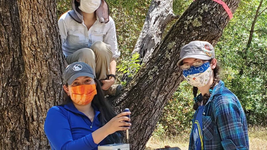 Team squirrel during a field season over thee summer