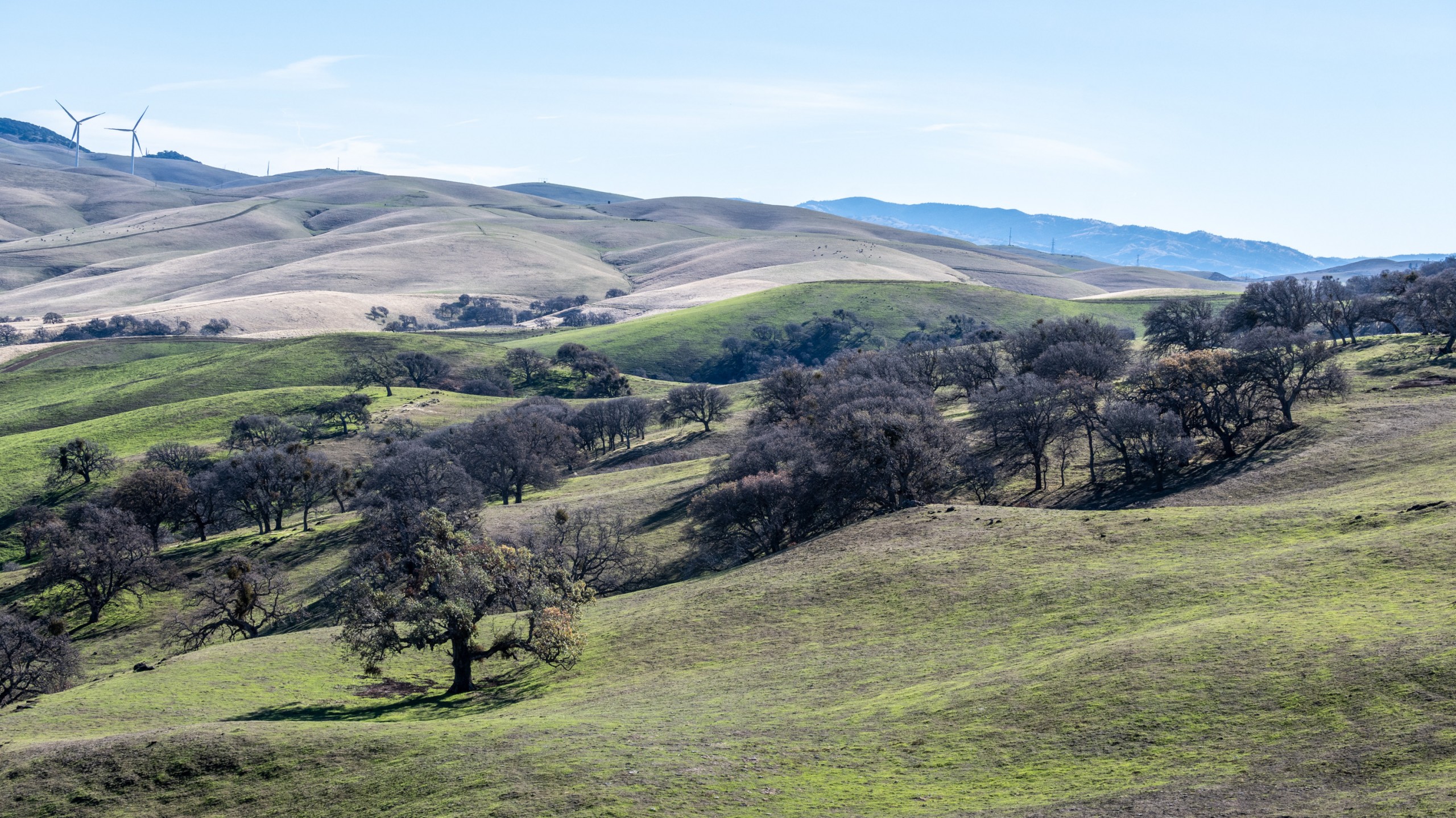 grasslands at los vaqueros