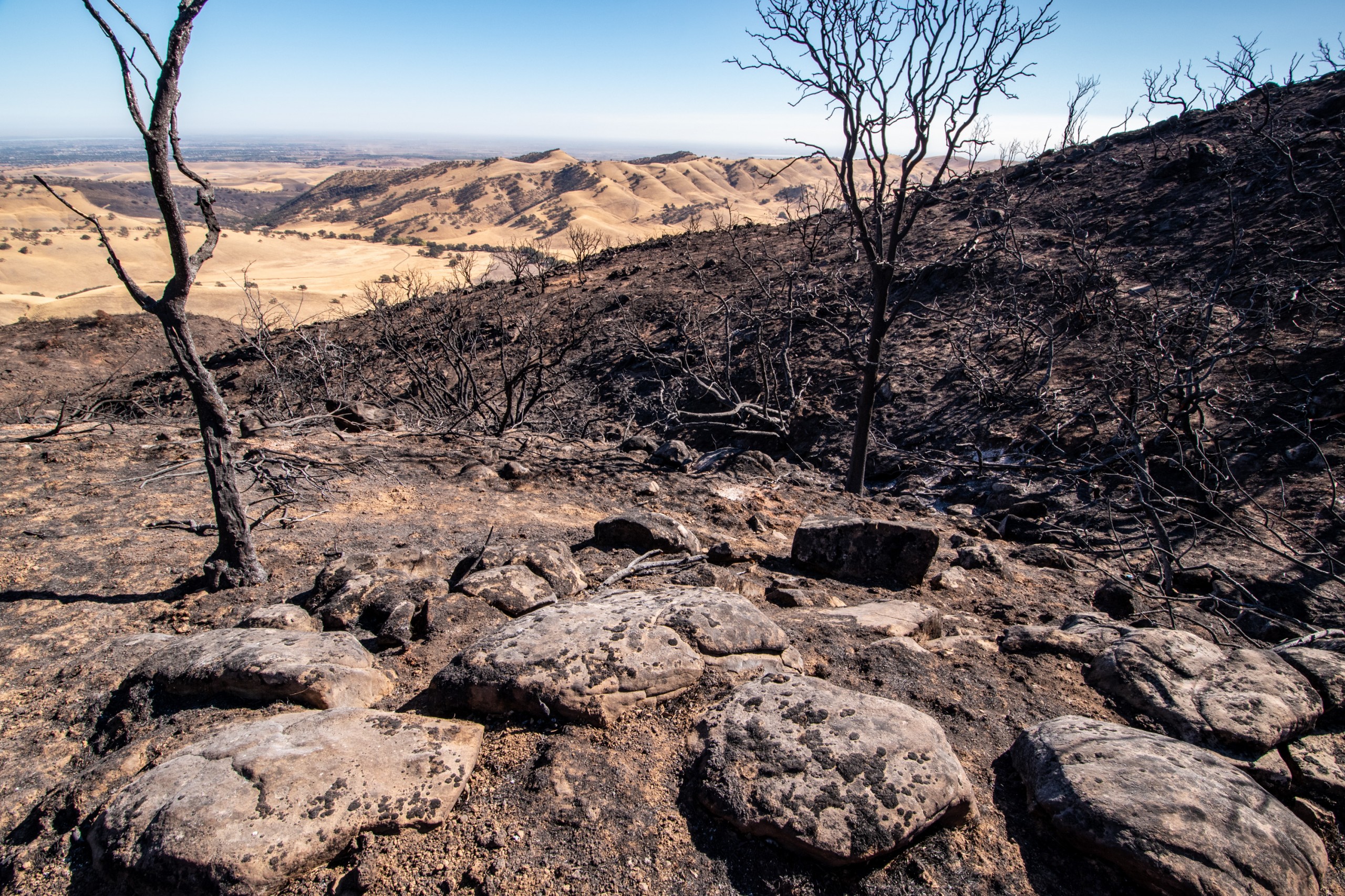 A badly burned chap in october