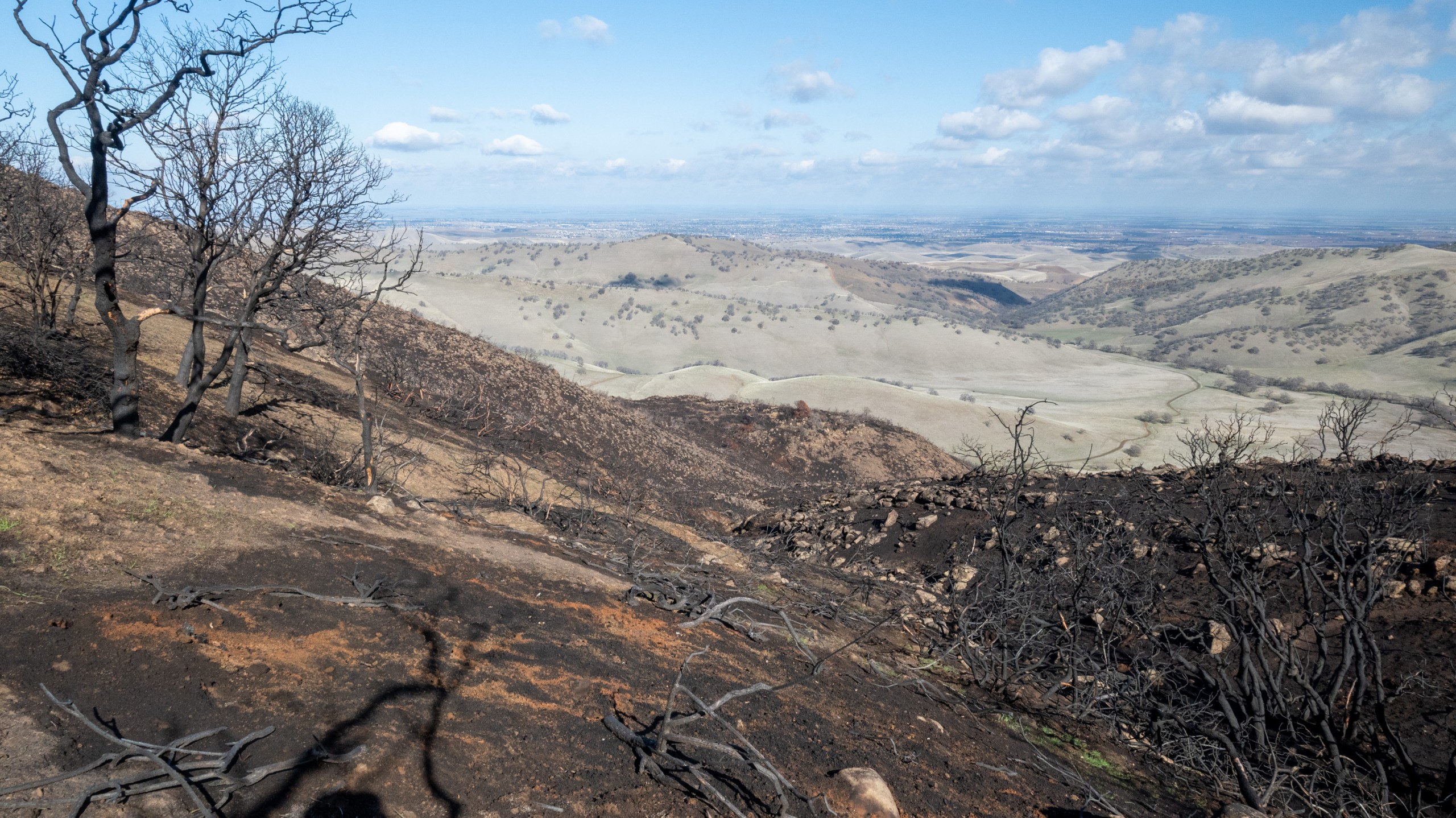 morgan territory three months after the fire