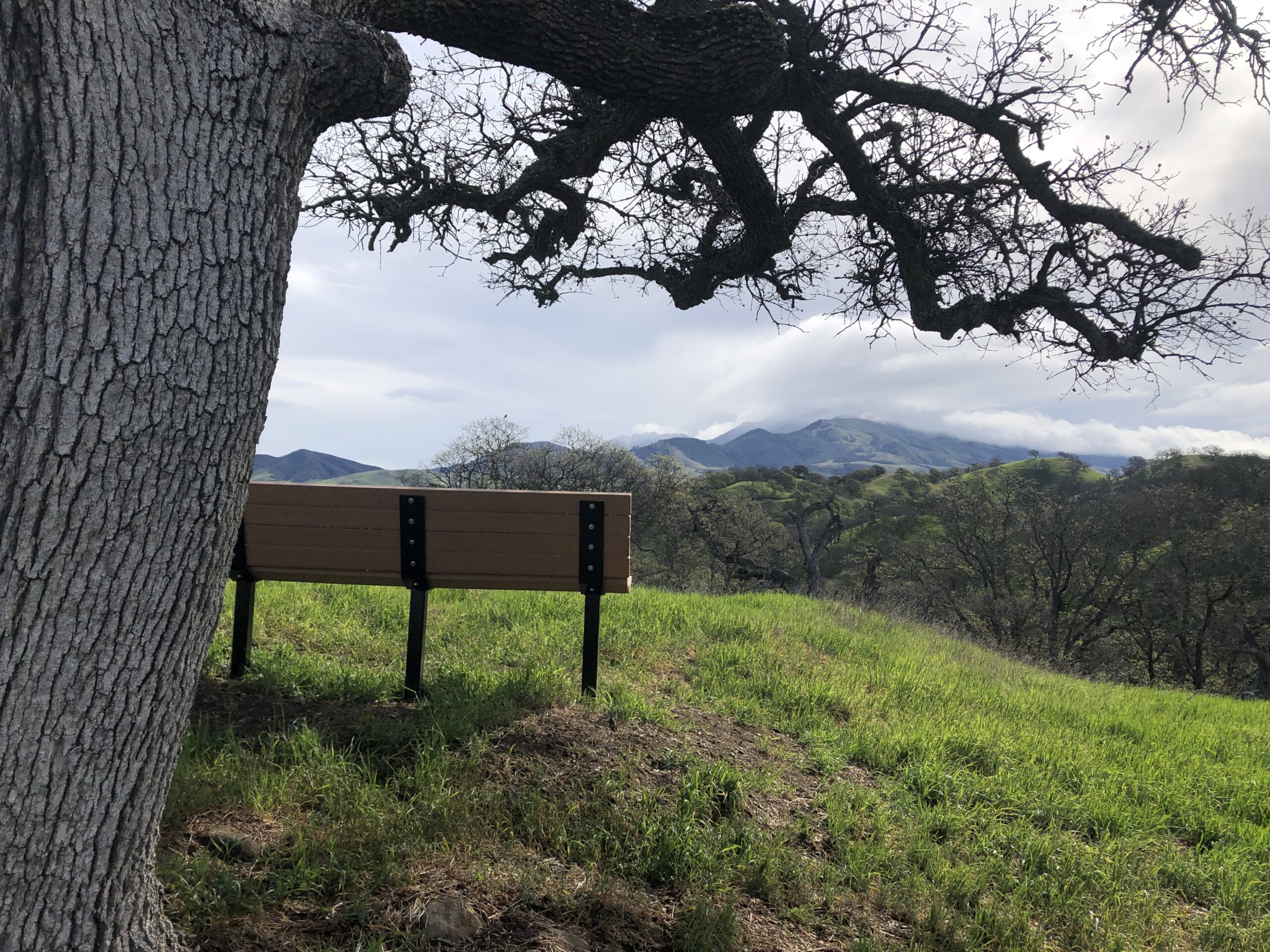 bench with view at shell ridge