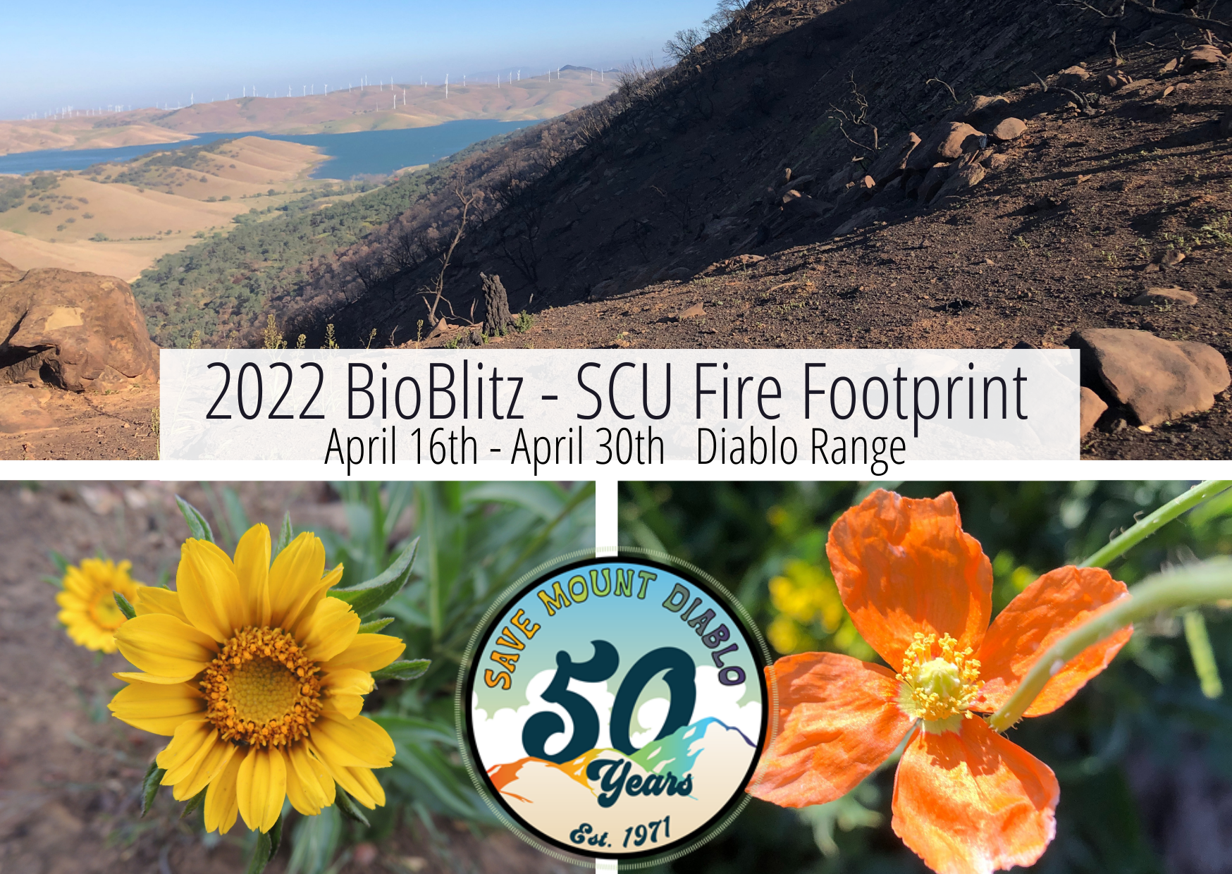 Flyer with photos of a burn scar and wildflowers, and the date of the 2022 BioBlitz