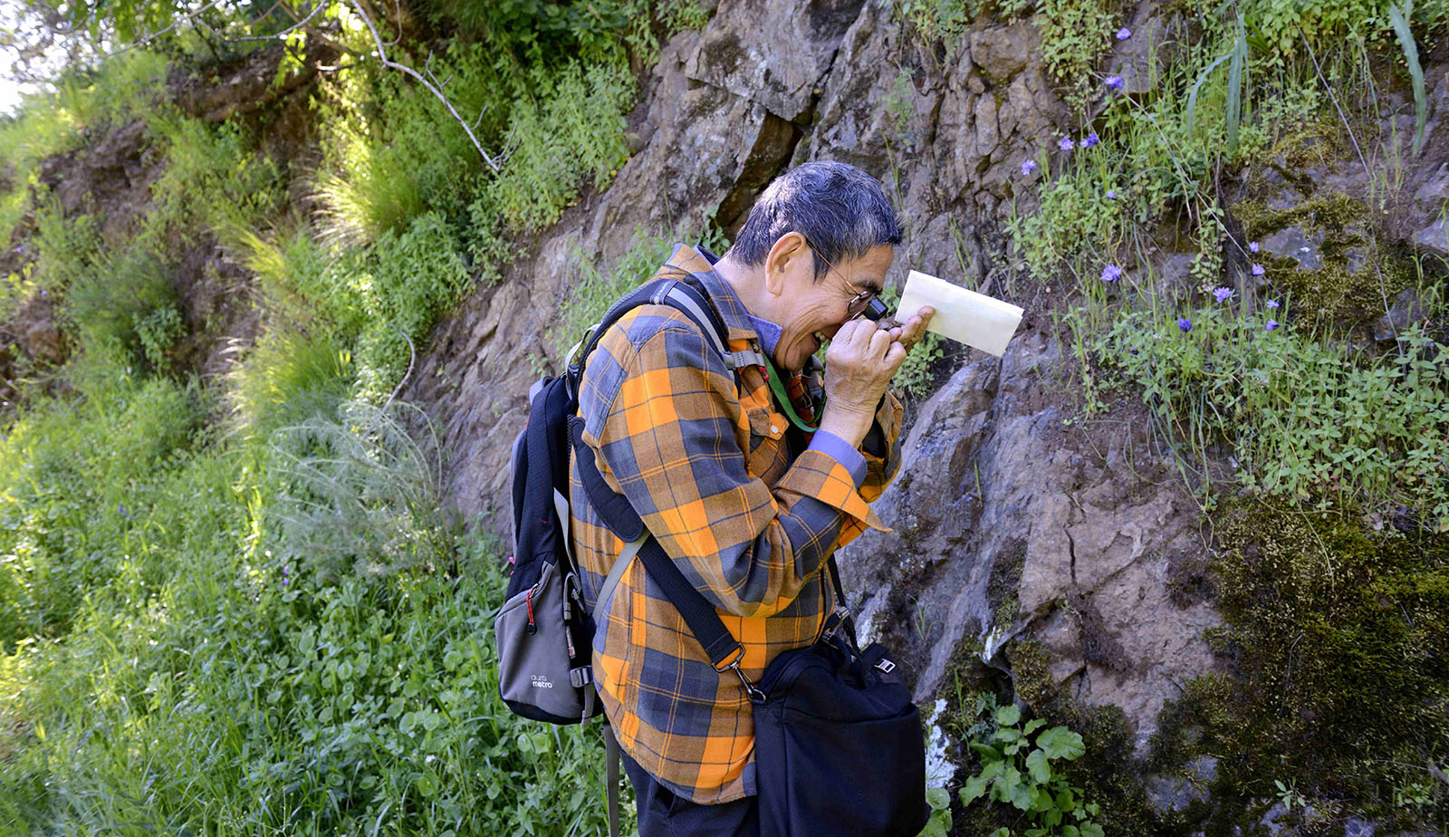 BioBlitz researcher taking a photo in Perkins Canyon at Mount Diablo State Park