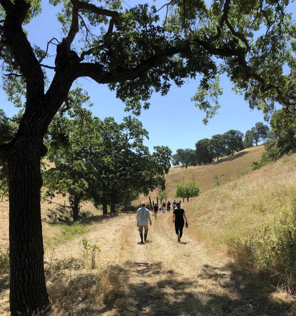 Boys Team Charity volunteers working at Ang East Bay Regional Park District property