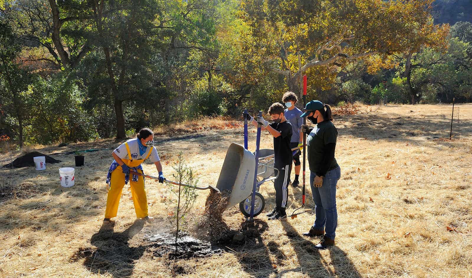 students assist Save Mount Diablo Land Stewardship Manager Roxana Lucero gather mulch for native planting project