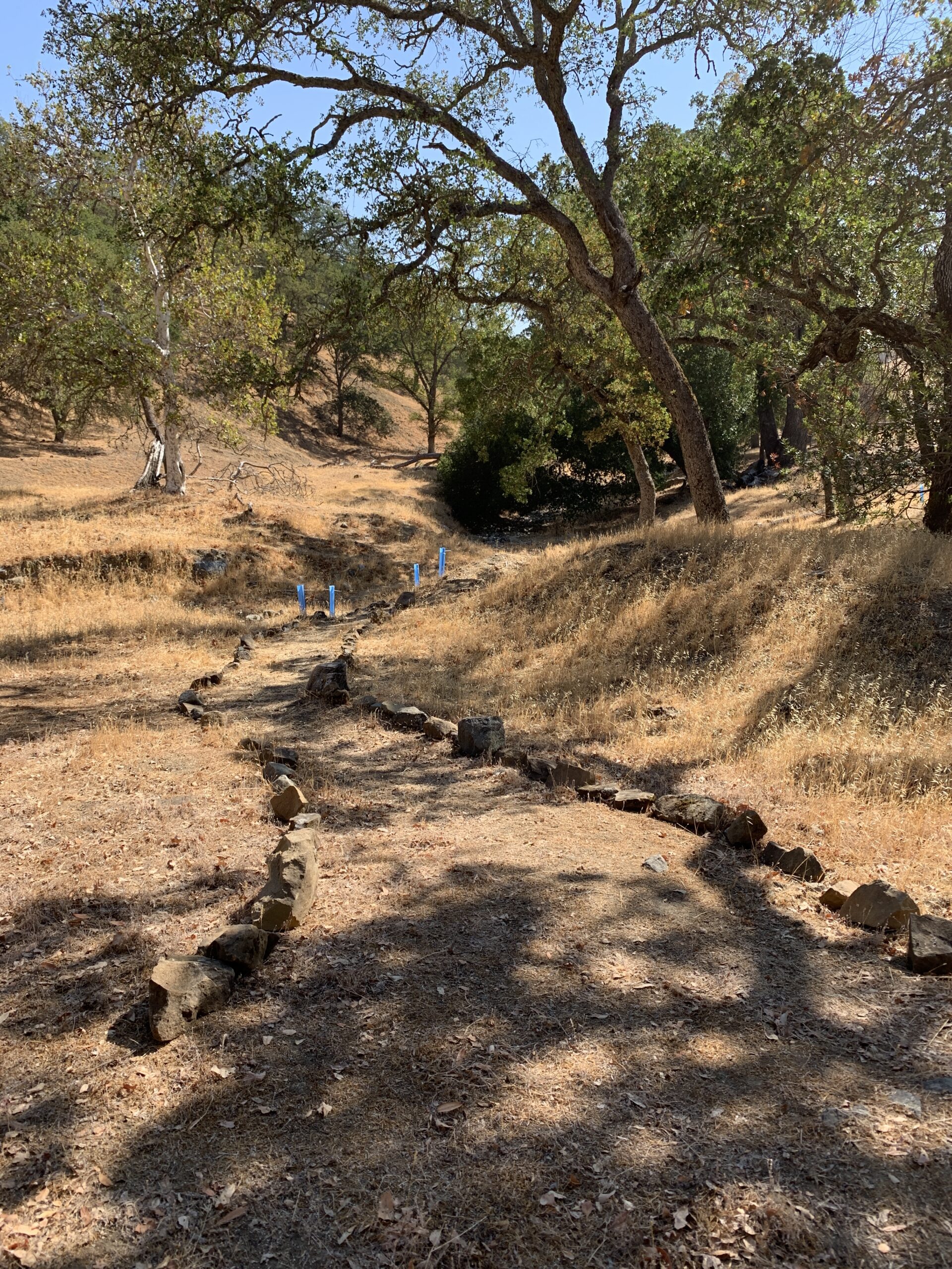 Rock lined trail at Curry Canyon Ranch. Blue tree tubes are in the distance.