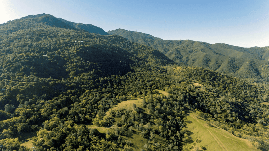 The 154 acres of open space on Mount Diablo’s North Peak, owned by the Concord Mt. Diablo Trail Ride Association, which will be protected because of Forever Wild supporters.