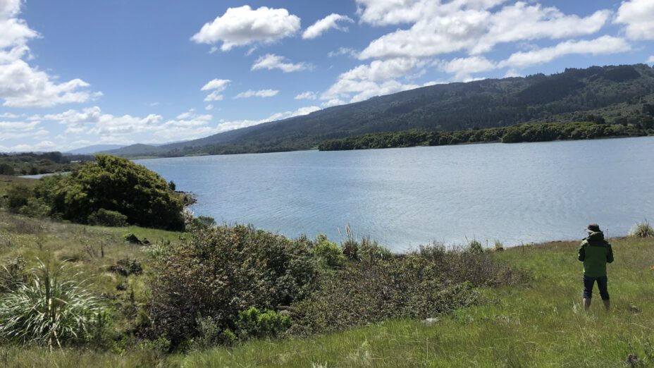 Crystal Springs Reservoir