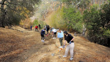 Campolindo students creating a trail at Mangini Ranch