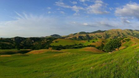 China Wall in Mount Diablo State Park by Stephen Joseph