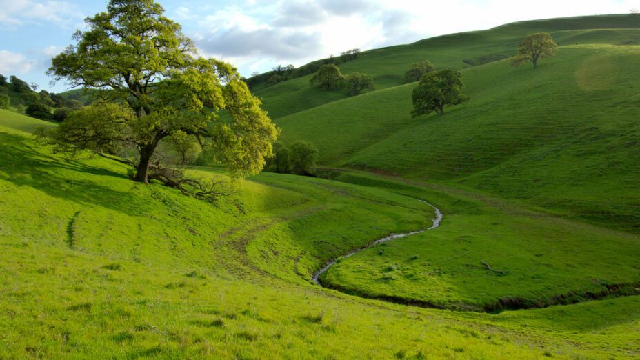 Green hills with a creek flowing through