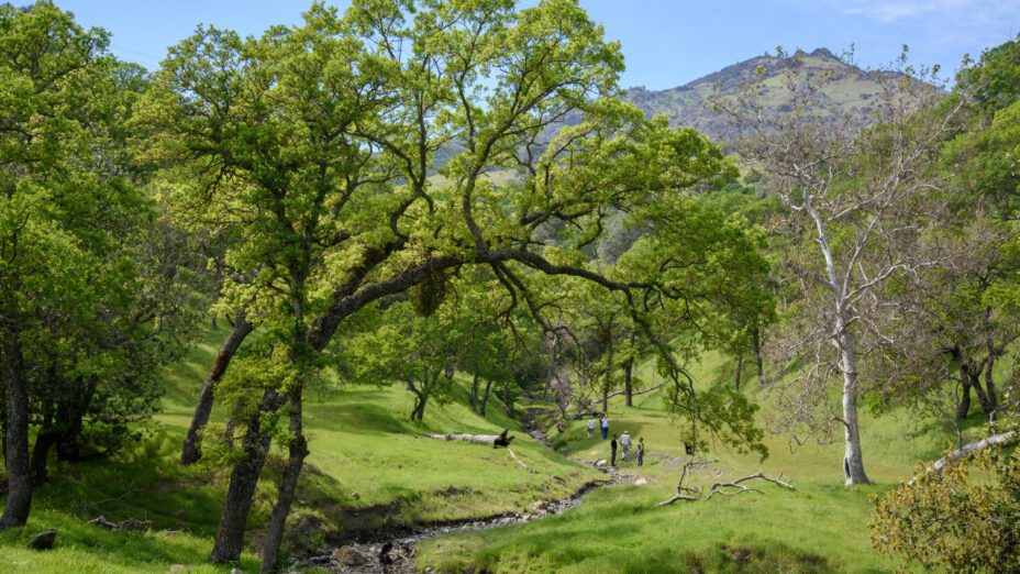 People hiking along Curry Creek