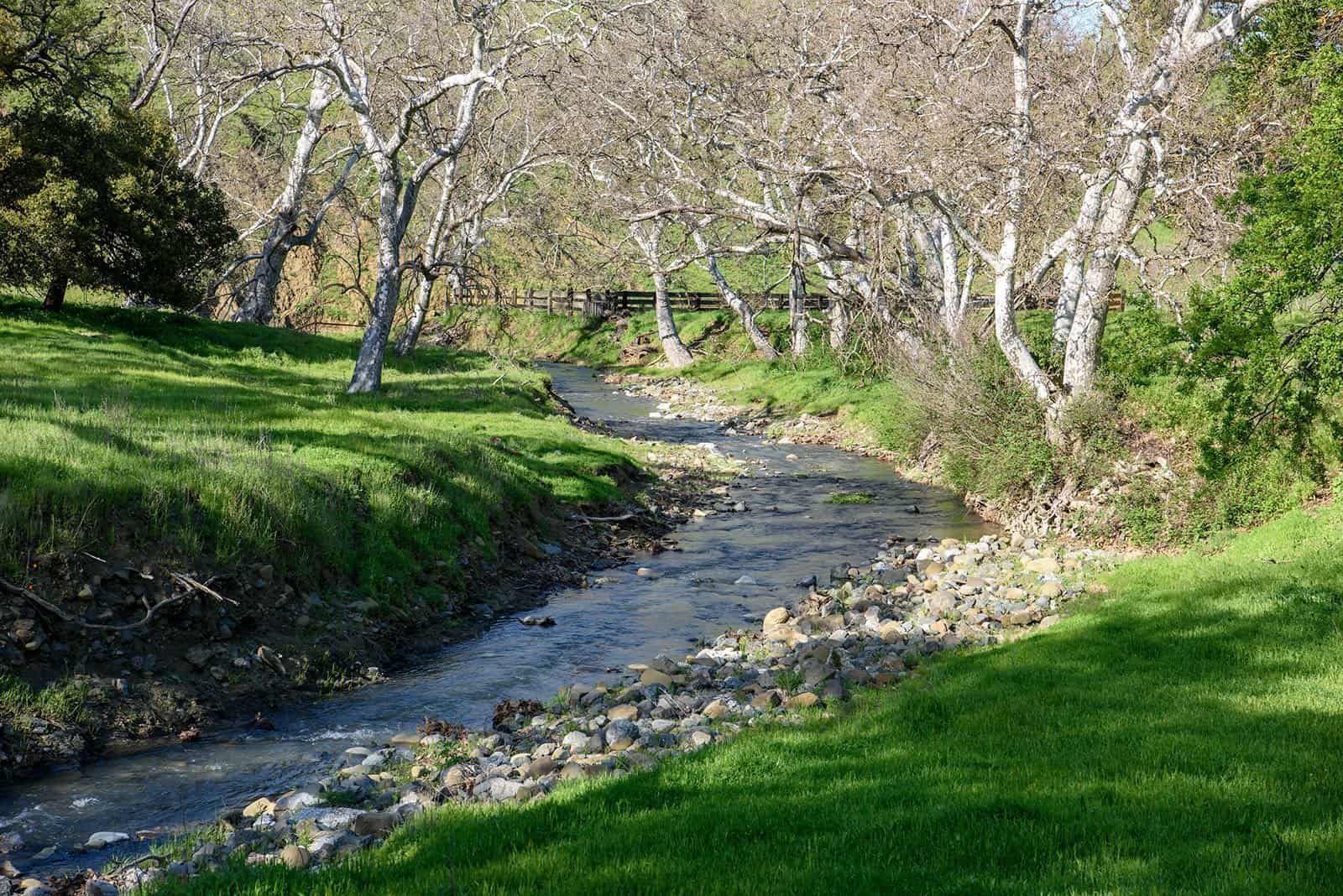 Curry Creek at Curry Canyon Ranch