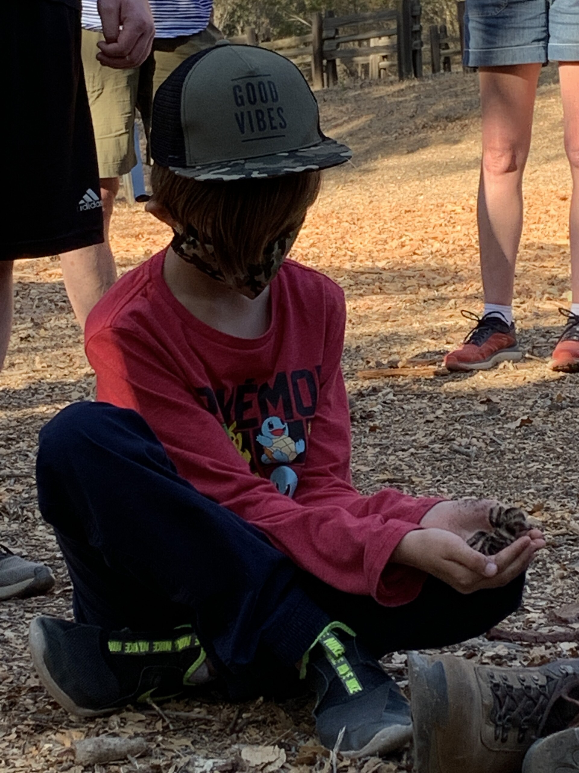 Child holding a tarantula