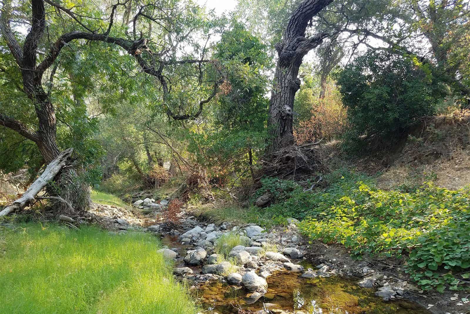 Marsh Creek flows through Save Mount Diablo's Marsh Creek 8 property