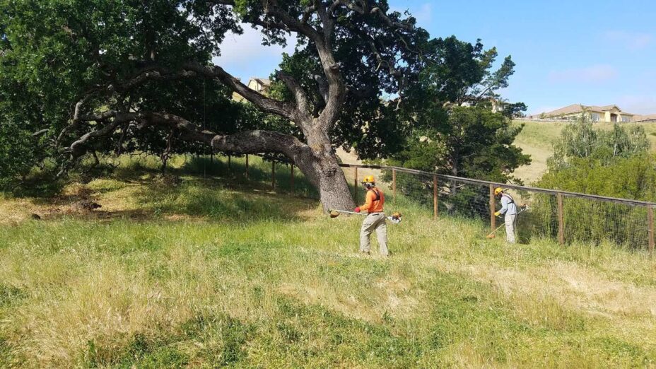 fire abatement volunteer working at Save Mount Diablo's Lot 25 property