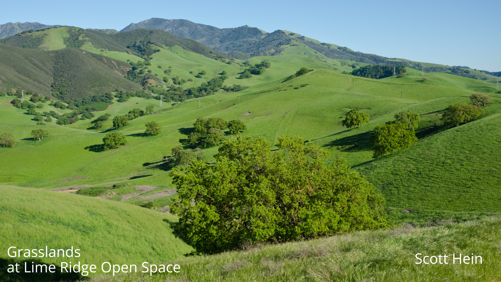 Grasslands at lime ridge