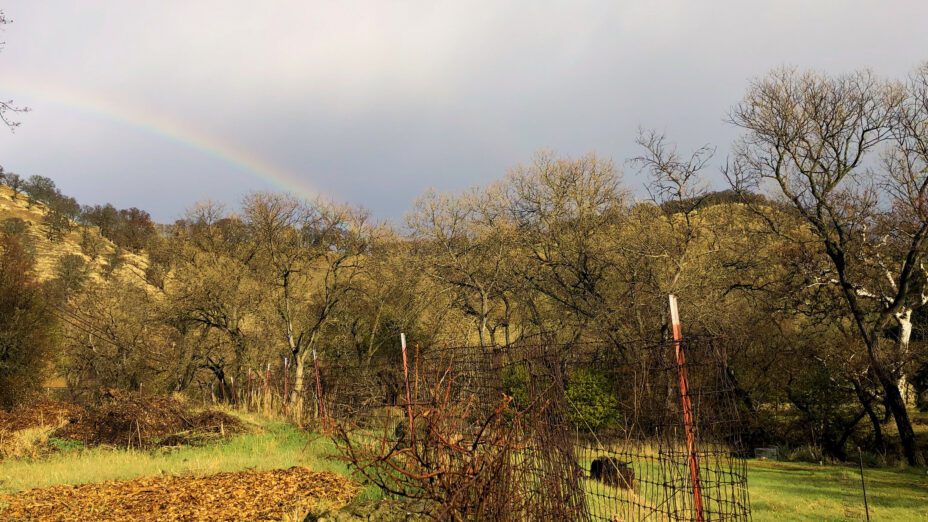 A rainbow over Save Mount Diablos property