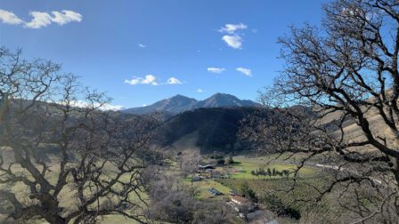 Mount Diablo as seen from the hilltop