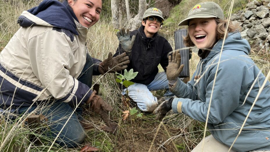 Three people showing off the newly planted sycamore sapling