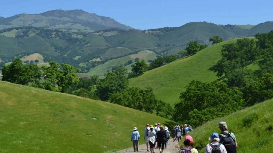 people hiking at Magee Preserve