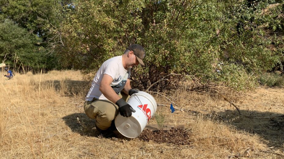 Mulching