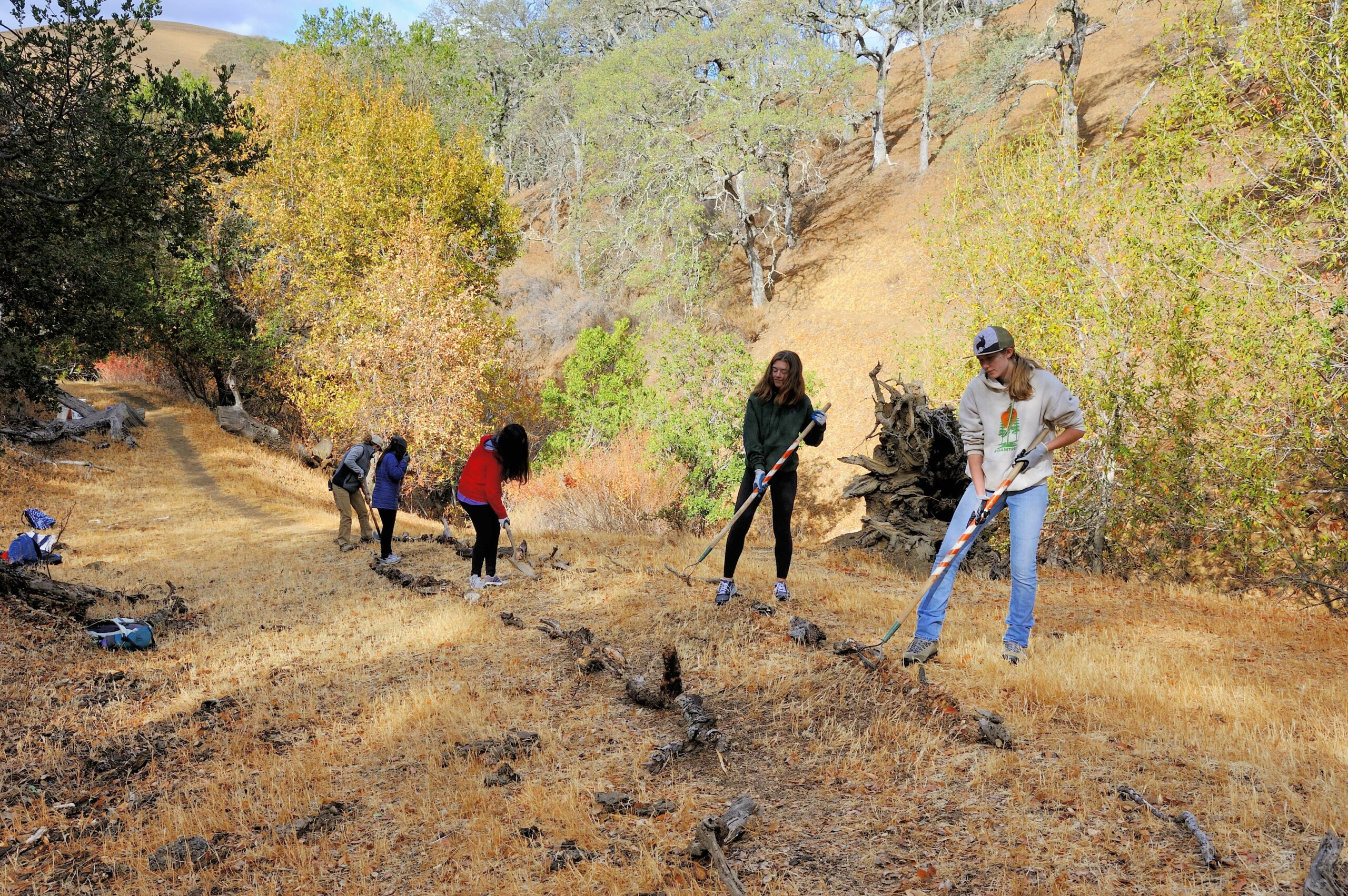 Students building a trail