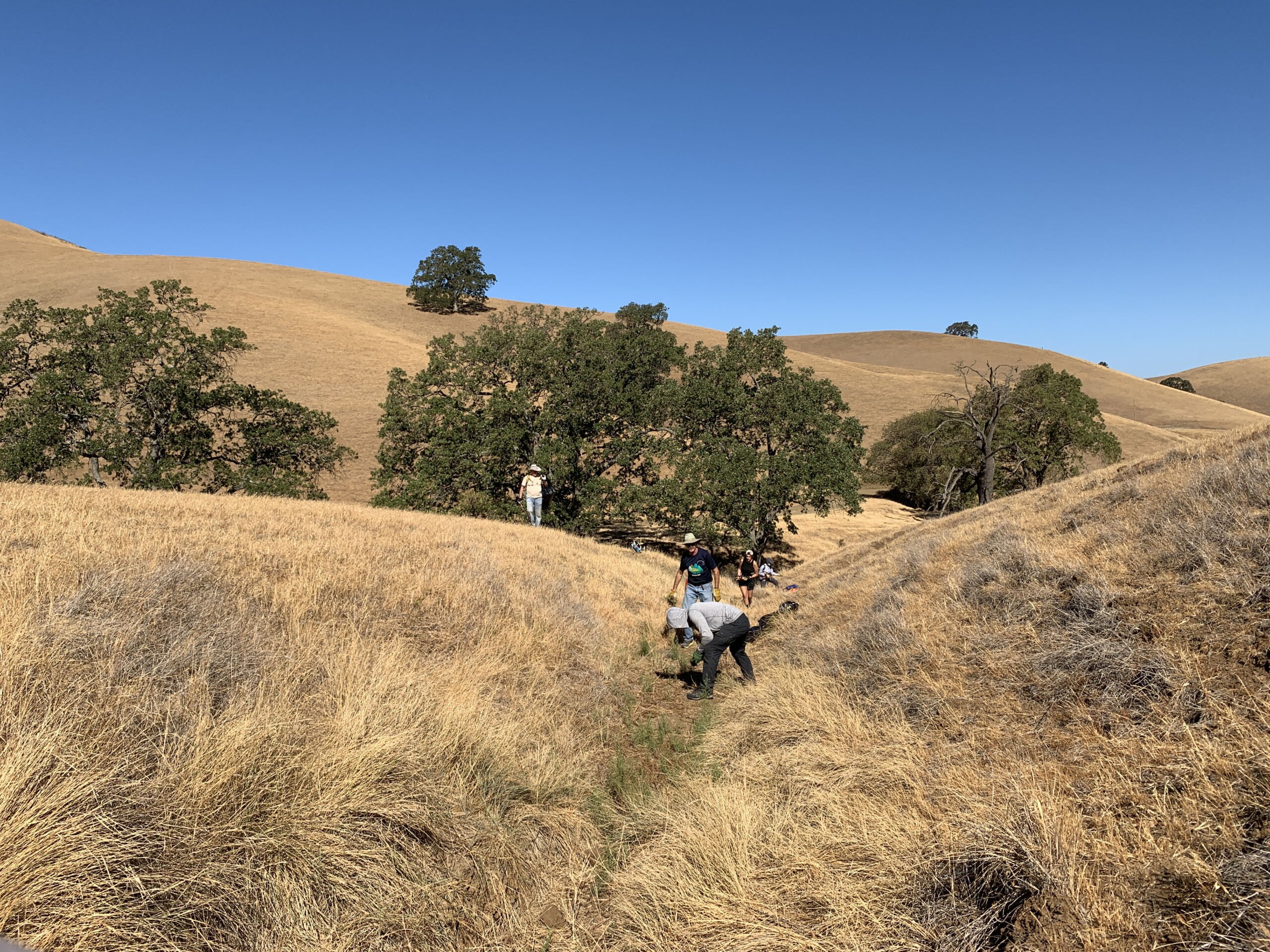 Volunteers maintaining trails