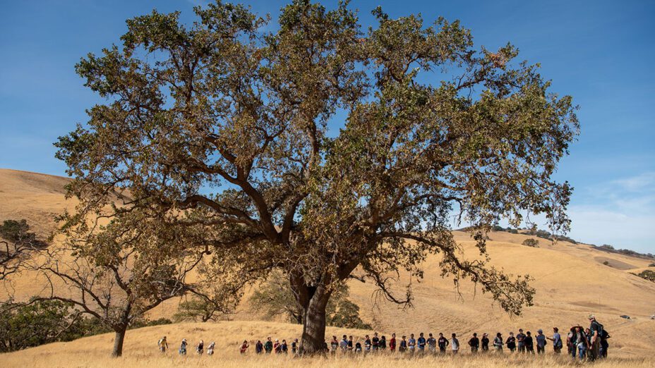 Students gather around an oak tree at the Mangini Ranch Educational Preserve