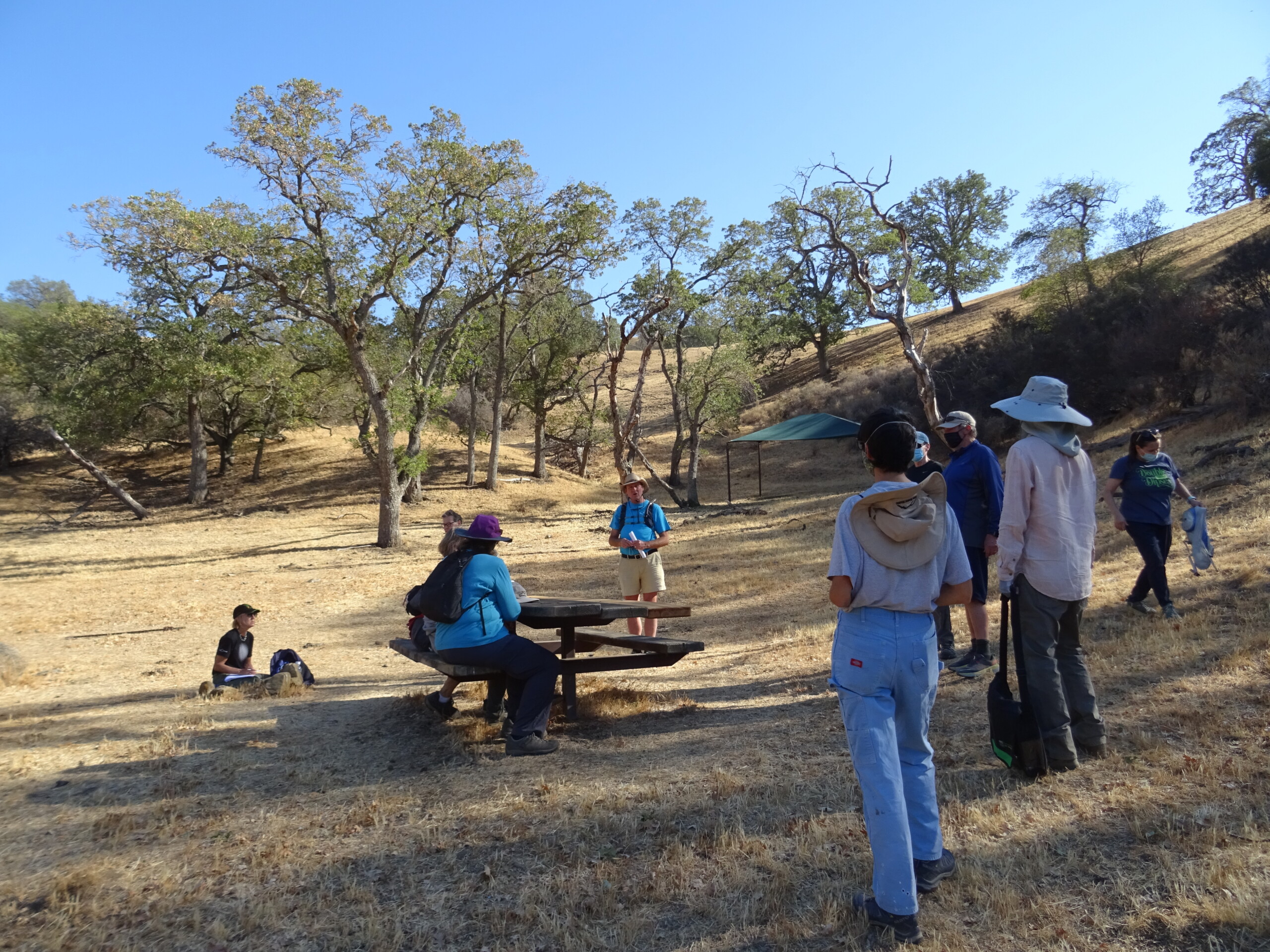 People gathered around picnic table and shade structure at Mangini Ranch