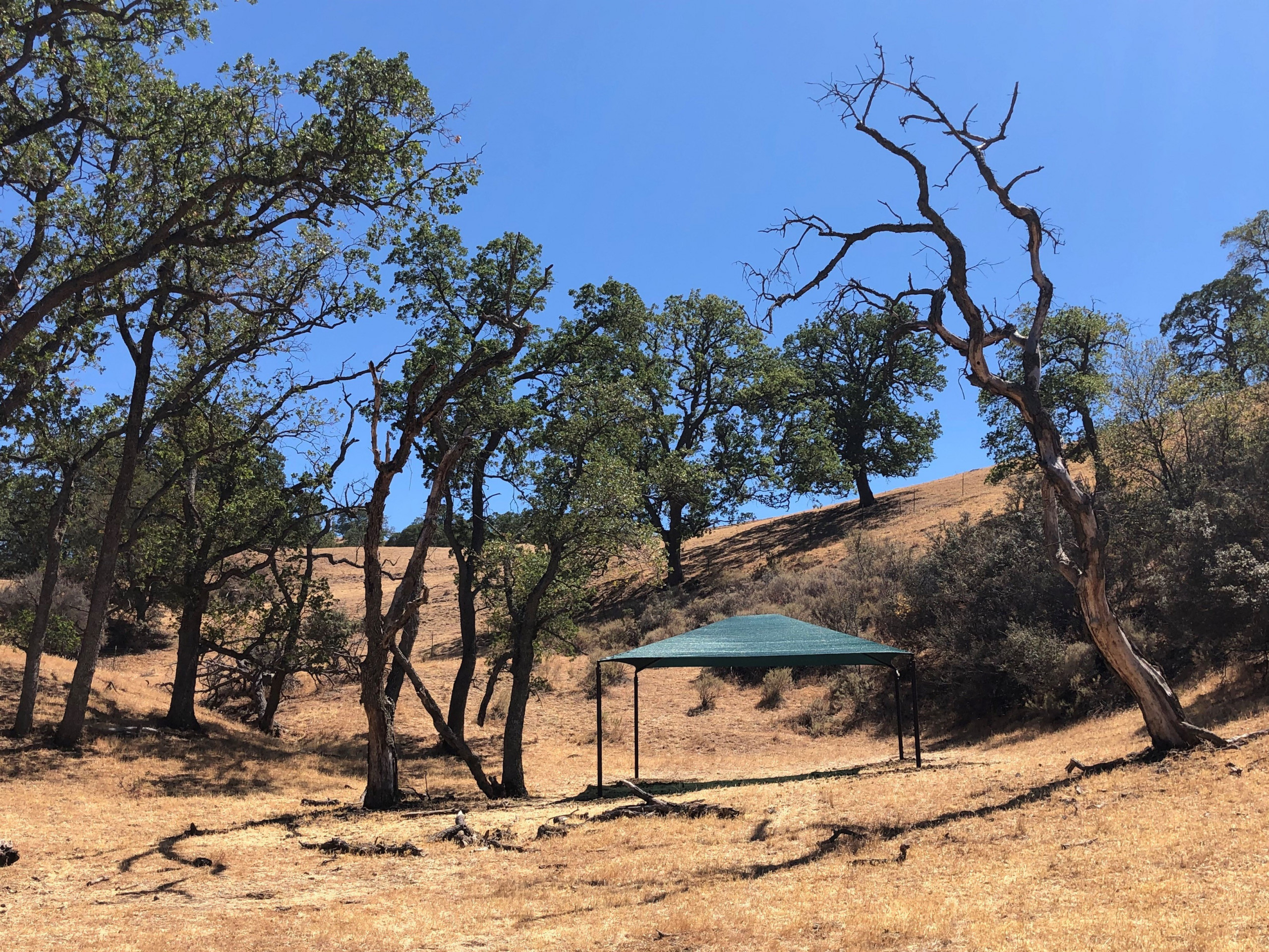 Shade tent standing in center of natural amphitheater at Mangini Ranch
