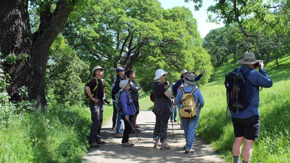 people birdwatching on the Mitchell Canyon wildflower walk