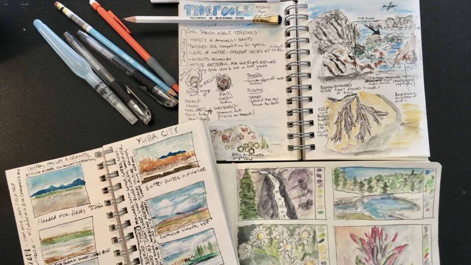 Using a Field Notebook for Nature Journaling