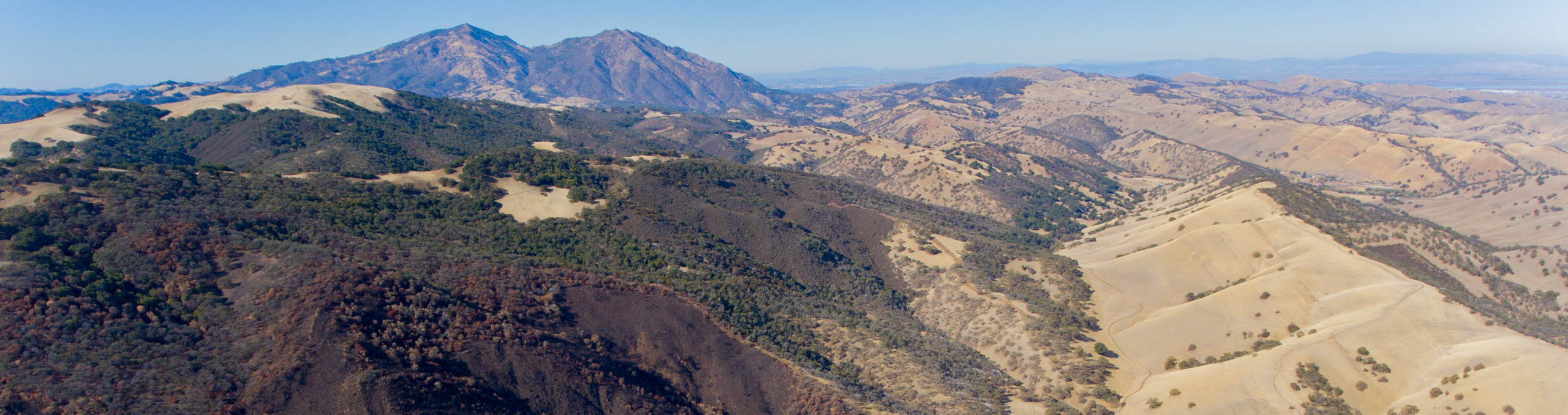 Morgan Territory Burn Site