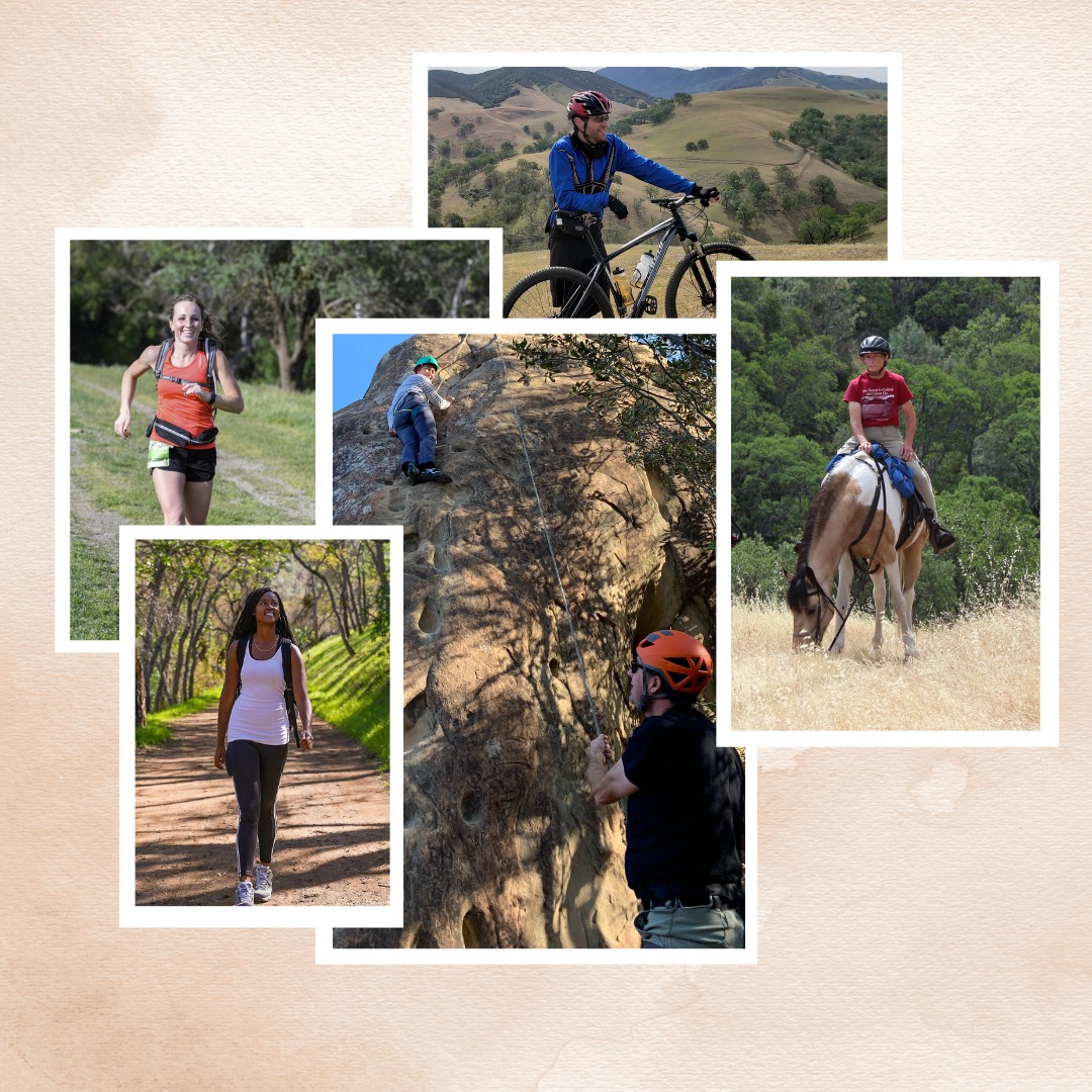 people enjoying nature through mountain biking and hiking and climbing and trail running and horseback riding