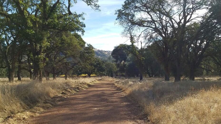 Perkins Canyon in Mount Diablo State Park