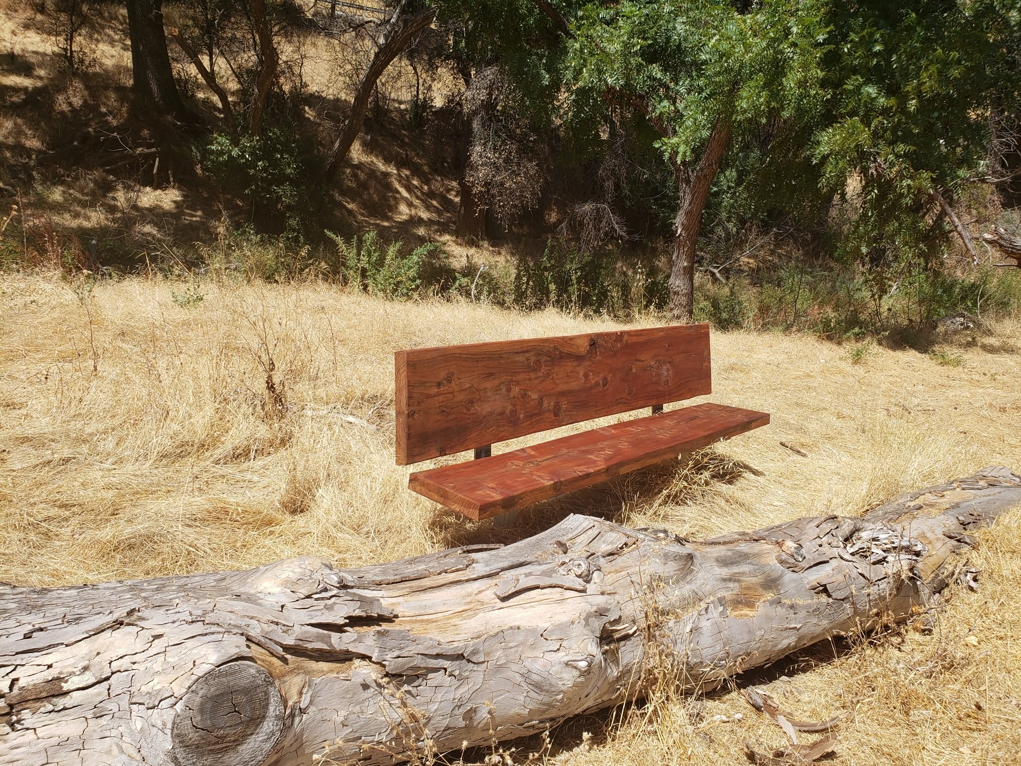 Redwood bench