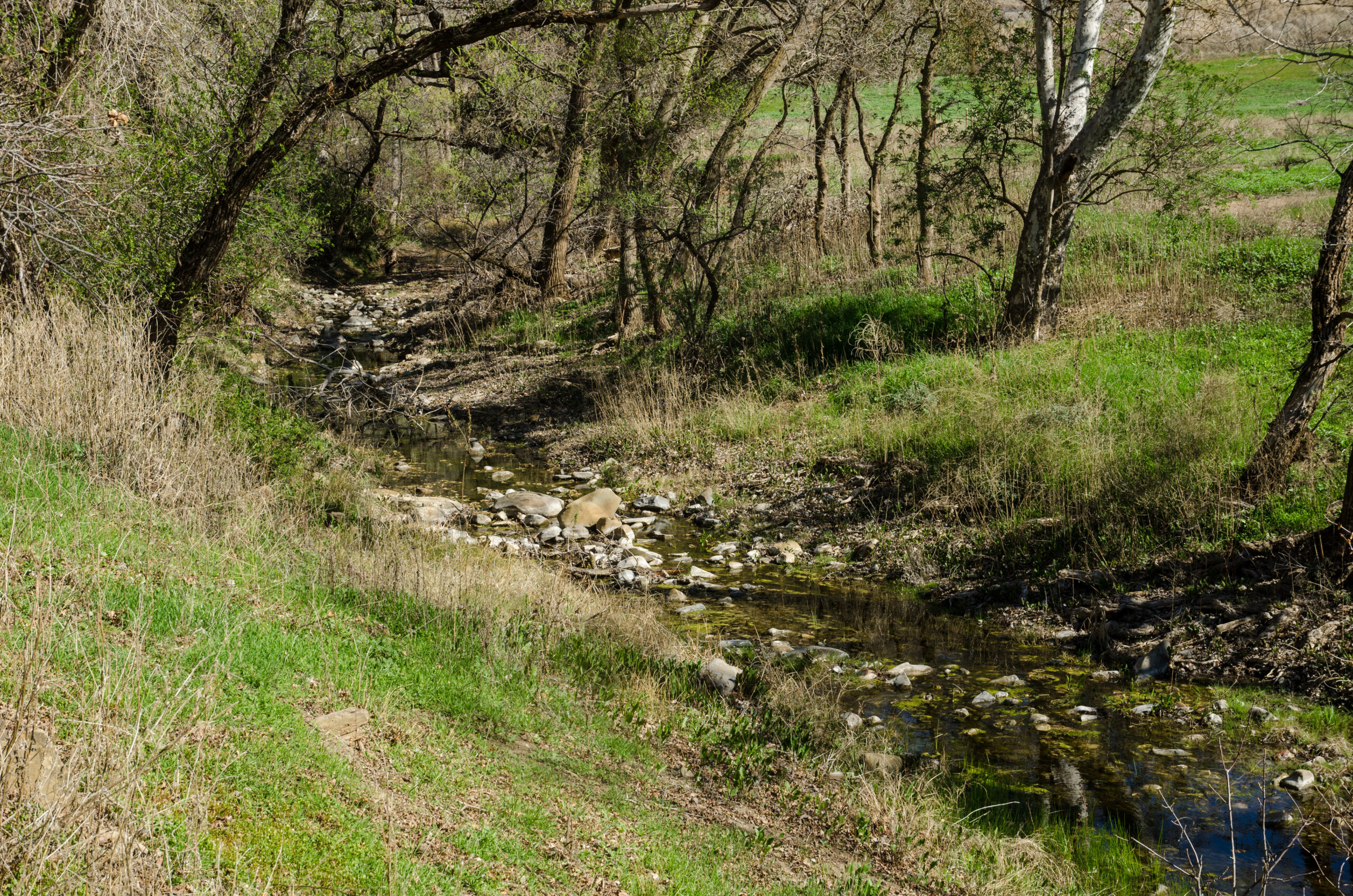 The lush green Big Bend area of Marsh Creek
