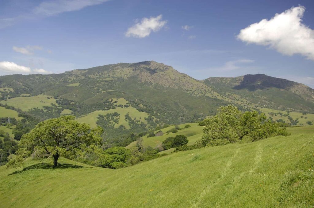 Curry Canyon Ranch, a Save Mount Diablo property