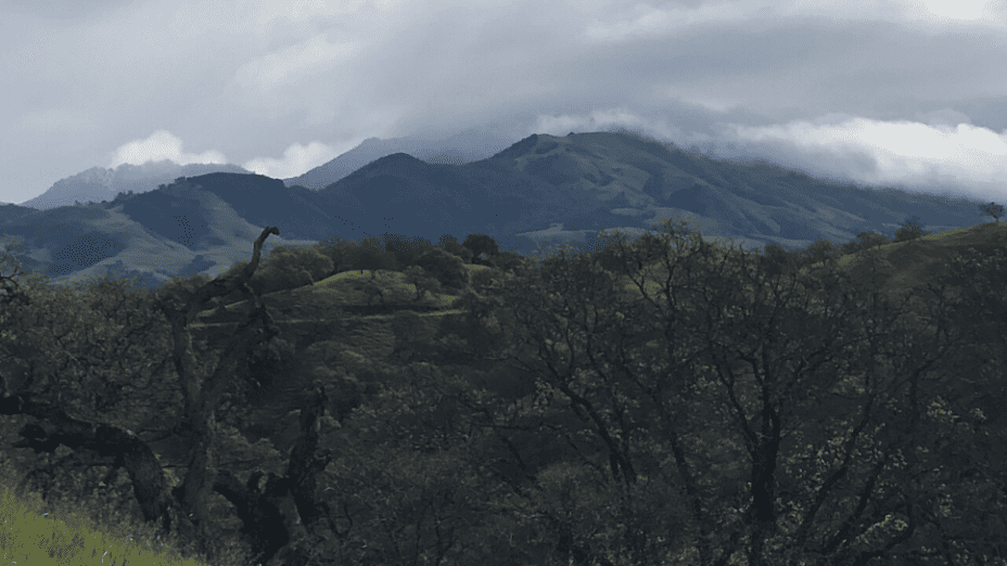 Mount Diablo from shell ridge