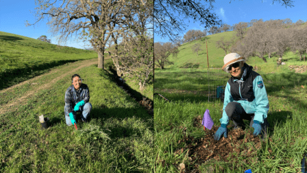 Two photos of people weeding planting