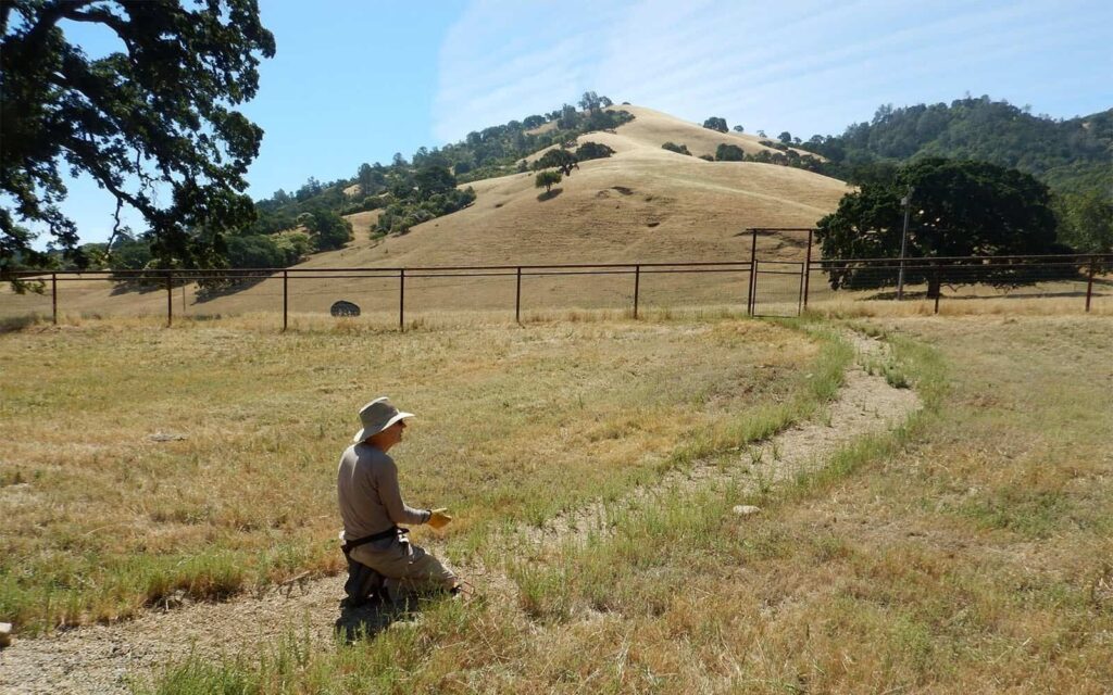 Volunteer reducing wildfire risk at Curry Canyon Ranch