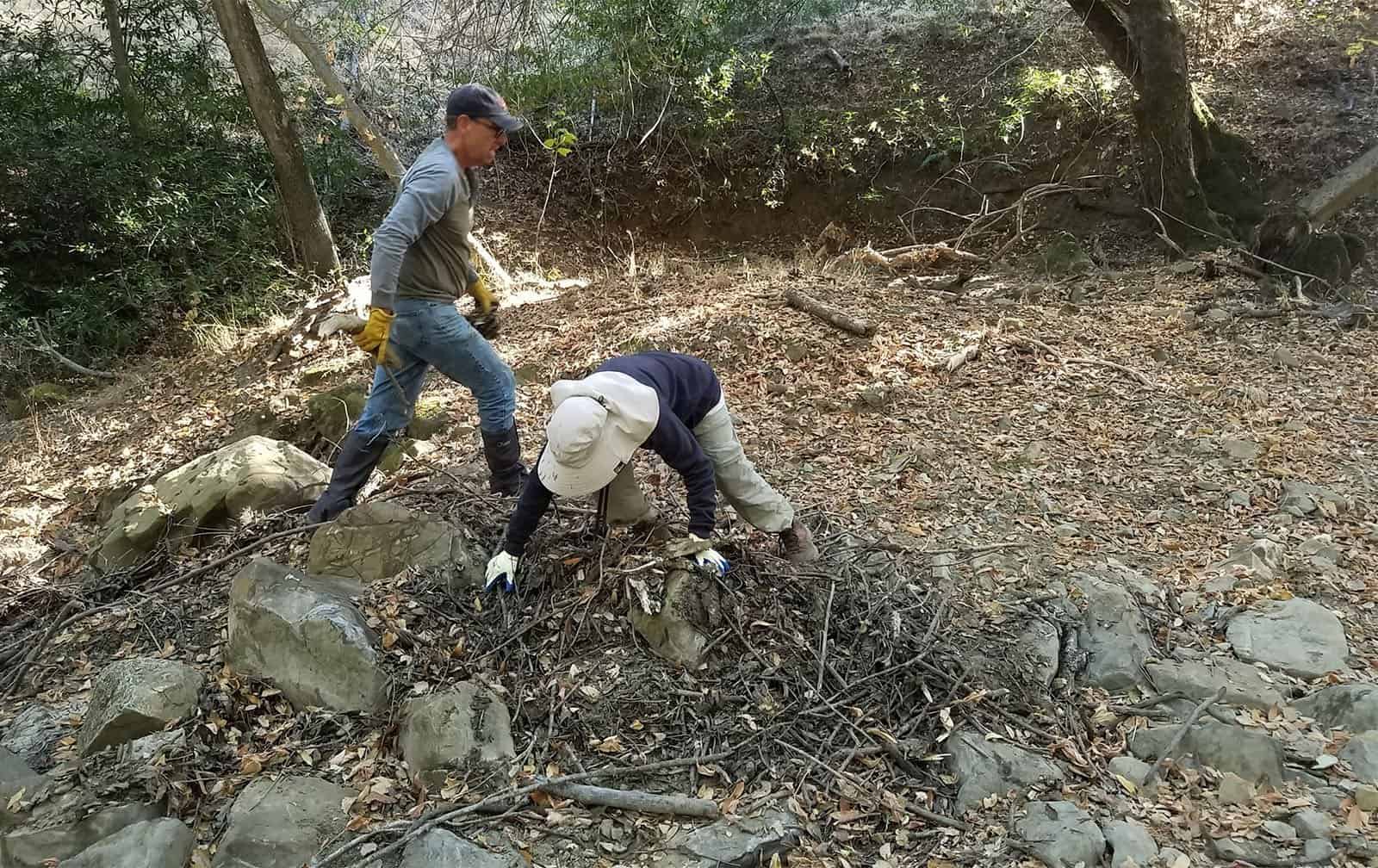 Removing hazardous branches from Curry Creek at Curry Canyon Ranch